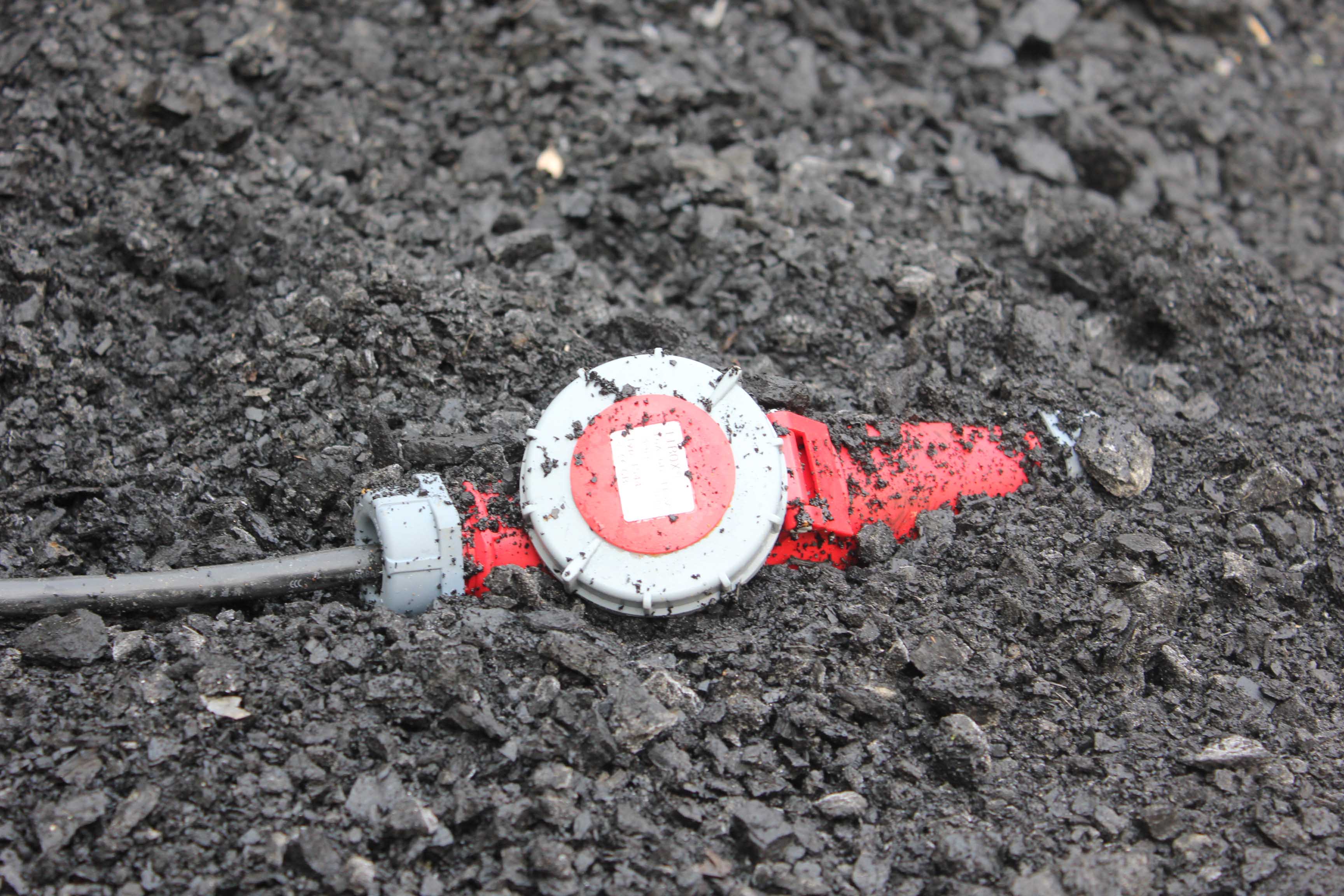 IMG_3486.jpg IMG_3486.jpg